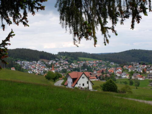 Blick auf Schonach