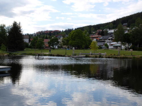 See im Kurpark