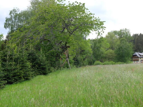 DSCF2461