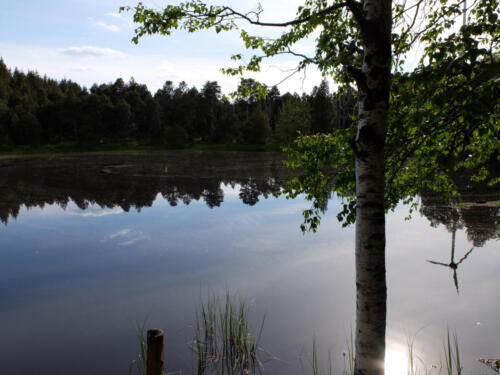 DSCF2564