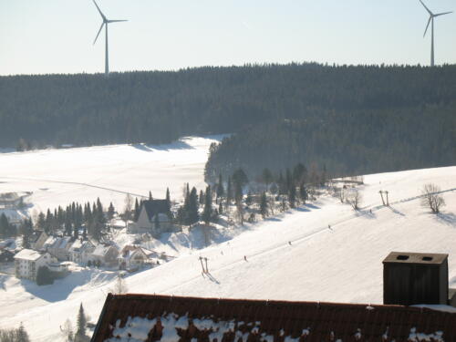 Frühjahr 2009 007