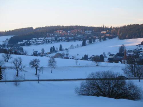Frühjahr 2009 016