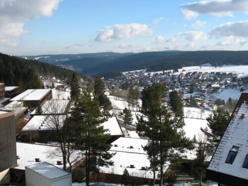 Schonach 045